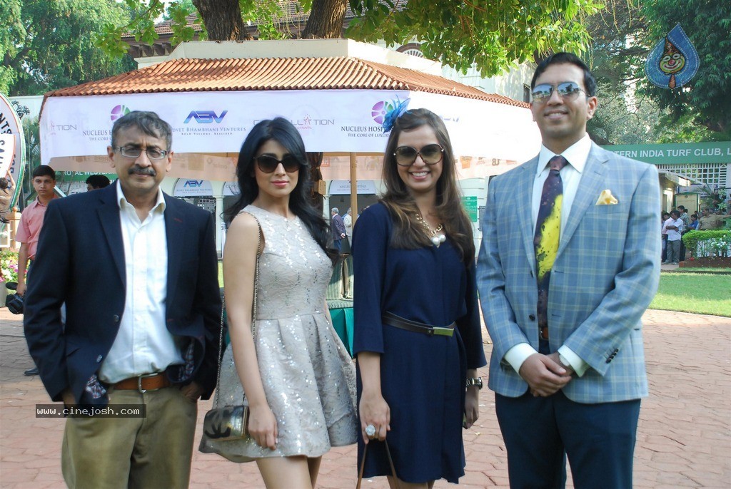 Shriya at ABC Nucleus Indian 2000 Guineas n Constellation Salver - 28 / 56 photos