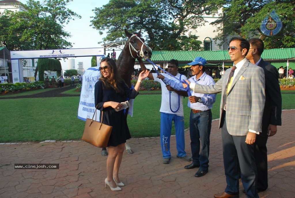 Shriya at ABC Nucleus Indian 2000 Guineas n Constellation Salver - 33 / 56 photos