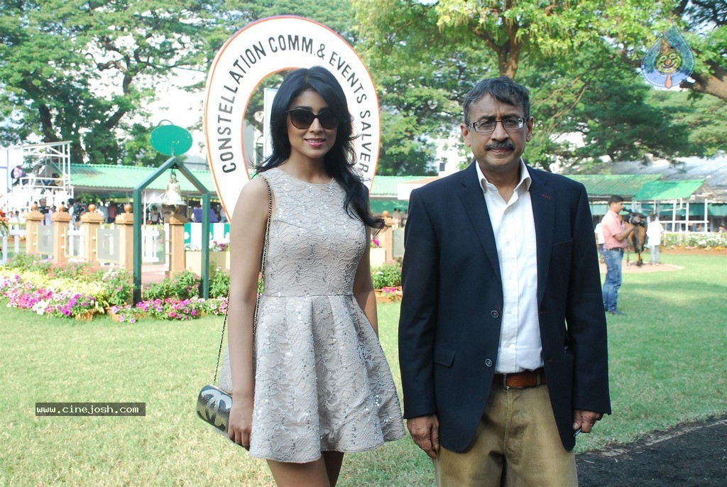 Shriya at ABC Nucleus Indian 2000 Guineas n Constellation Salver - 41 / 56 photos