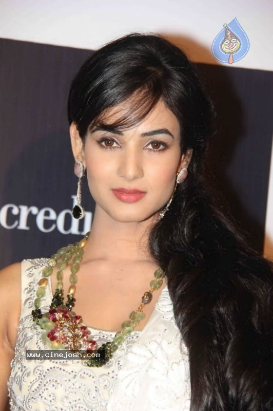 Sonal Chauhan, Zarine Khan at IIJW Event - 19 / 43 photos