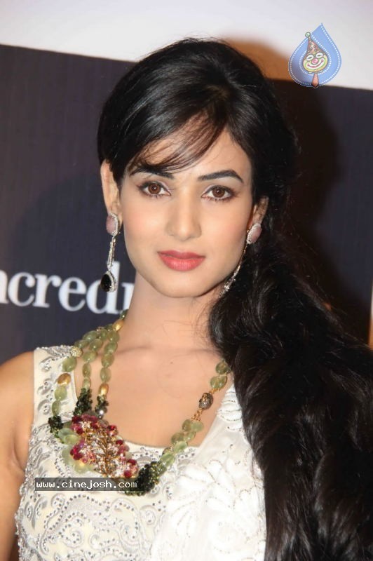 Sonal Chauhan, Zarine Khan at IIJW Event - 43 / 43 photos