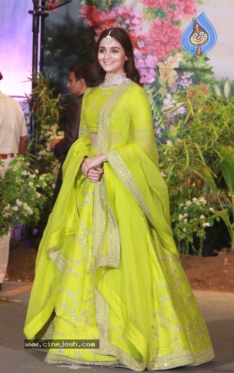 Sonam Kapoor - Anand Ahuja Reception - 18 / 33 photos