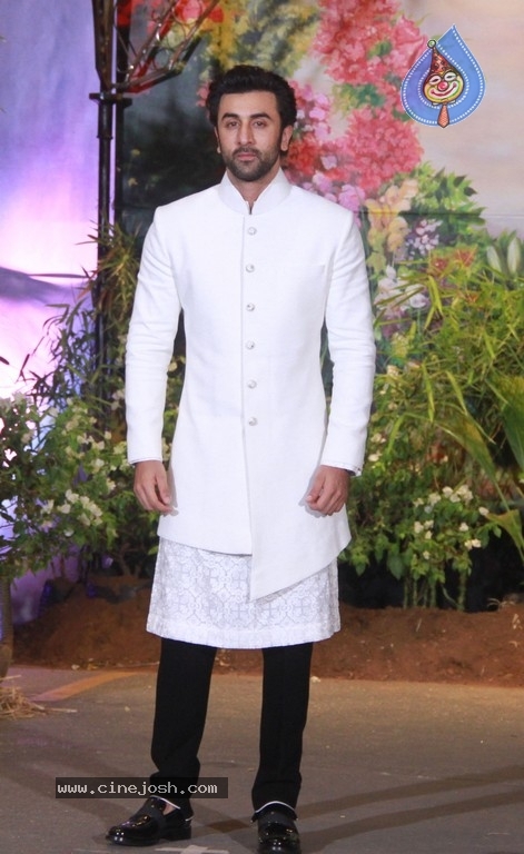 Sonam Kapoor - Anand Ahuja Reception - 20 / 33 photos