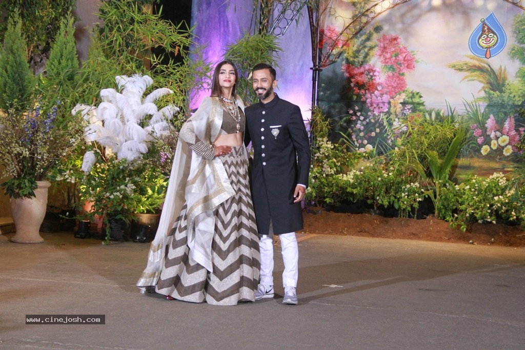 Sonam Kapoor - Anand Ahuja Reception Photos - 11 / 40 photos