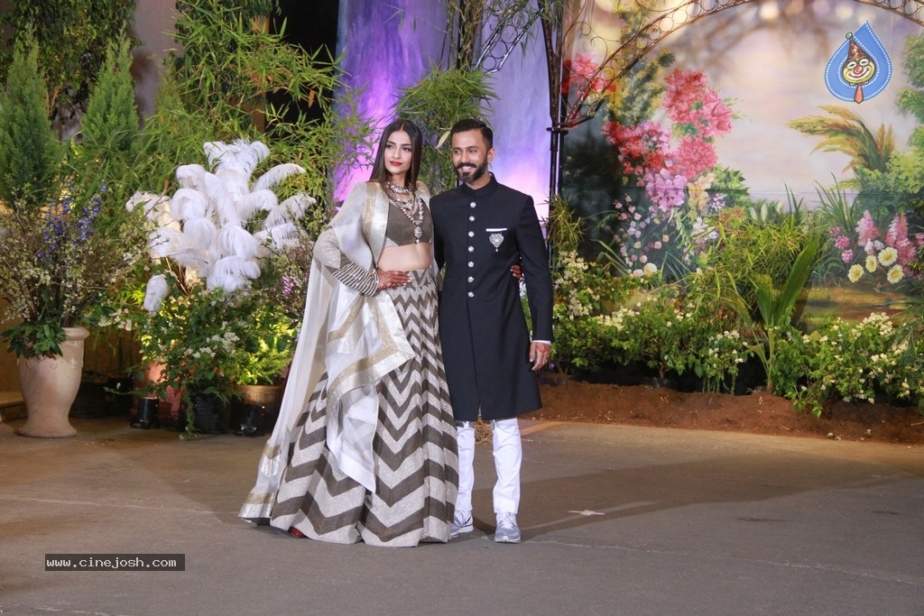 Sonam Kapoor - Anand Ahuja Reception Photos - 12 / 40 photos