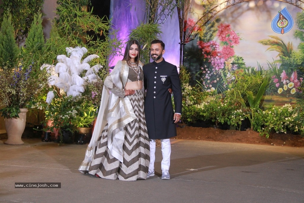 Sonam Kapoor - Anand Ahuja Reception Photos - 13 / 40 photos