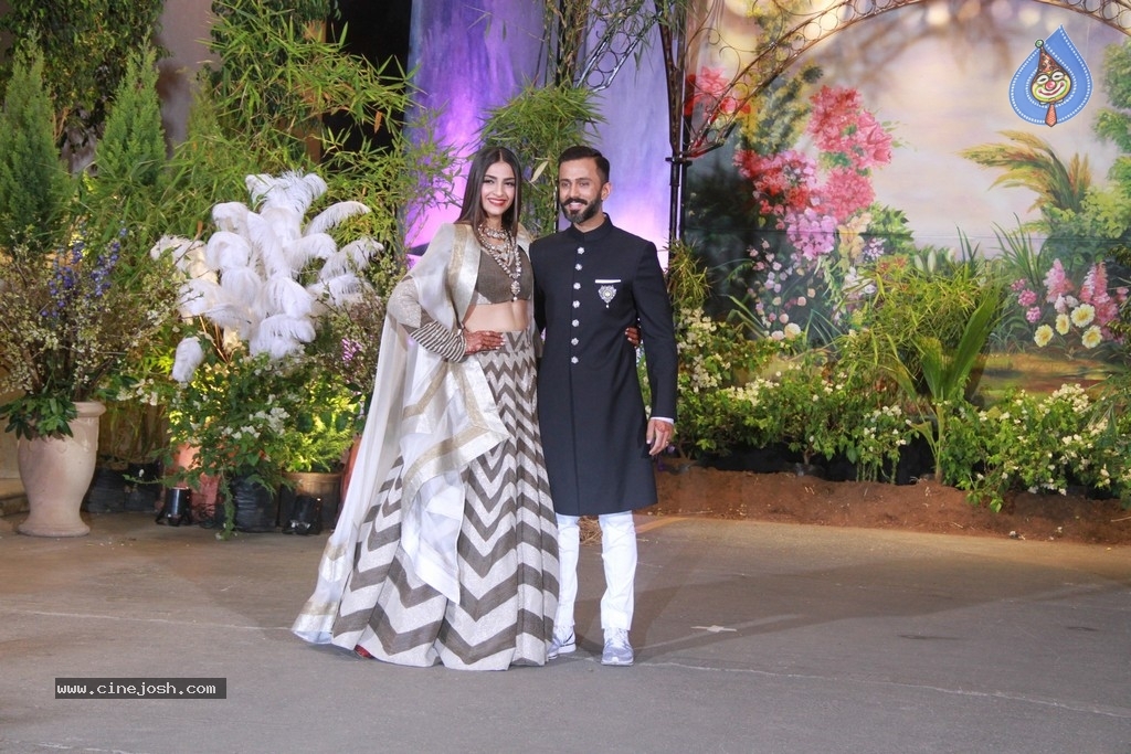 Sonam Kapoor - Anand Ahuja Reception Photos - 14 / 40 photos