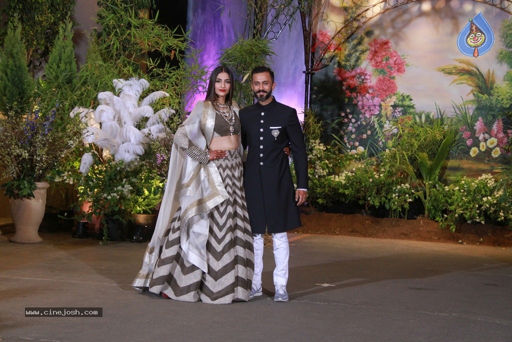 Sonam Kapoor - Anand Ahuja Reception Photos - 23 / 40 photos