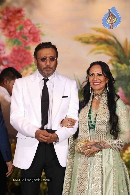 Sonam Kapoor And Anand Ahuja Wedding Reception Photos - 6 / 37 photos