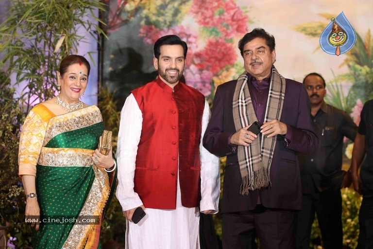 Sonam Kapoor And Anand Ahuja Wedding Reception Photos - 14 / 37 photos