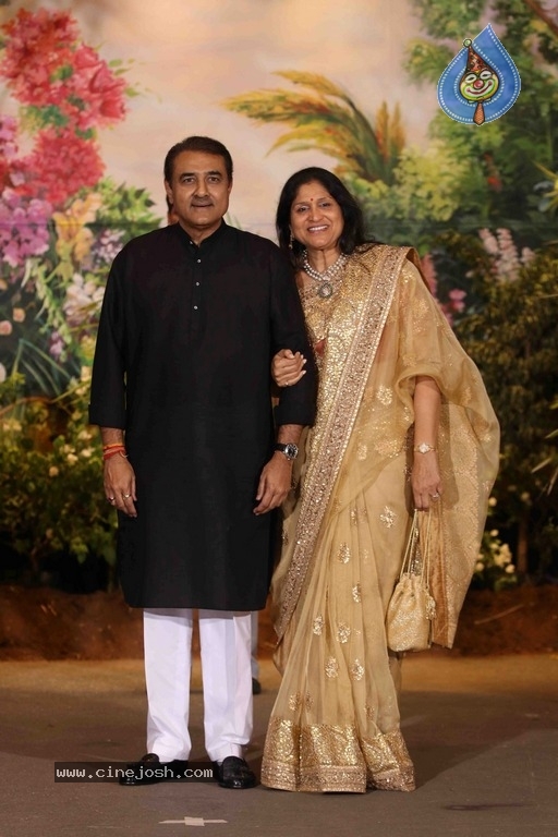 Sonam Kapoor And Anand Ahuja Wedding Reception Photos - 22 / 37 photos