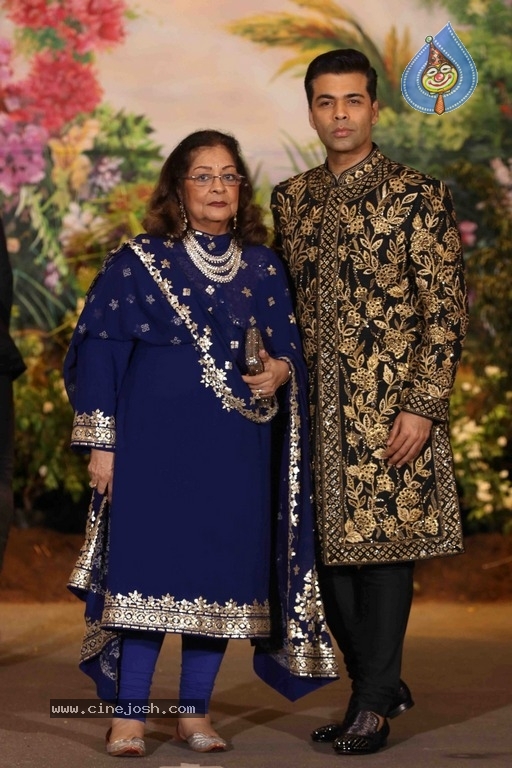 Sonam Kapoor And Anand Ahuja Wedding Reception Photos - 27 / 37 photos