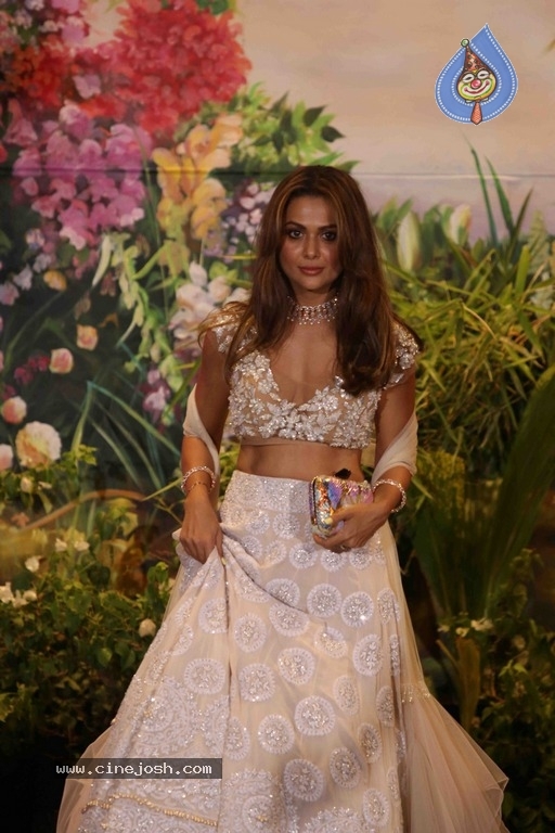 Sonam Kapoor And Anand Ahuja Wedding Reception Photos Set 2 - 24 / 42 photos