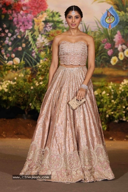 Sonam Kapoor And Anand Ahuja Wedding Reception Photos Set 2 - 25 / 42 photos