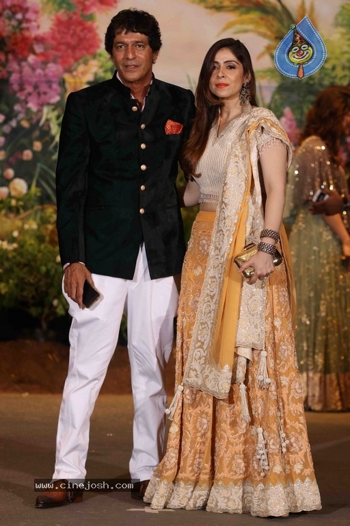 Sonam Kapoor And Anand Ahuja Wedding Reception Photos Set 2 - 41 / 42 photos