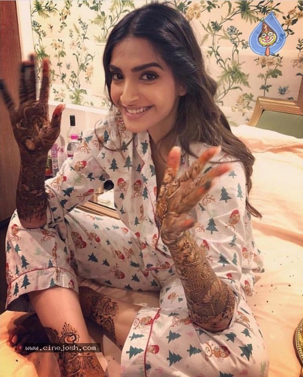 Sonam Kapoor Mehndi Ceremony - 29 / 39 photos