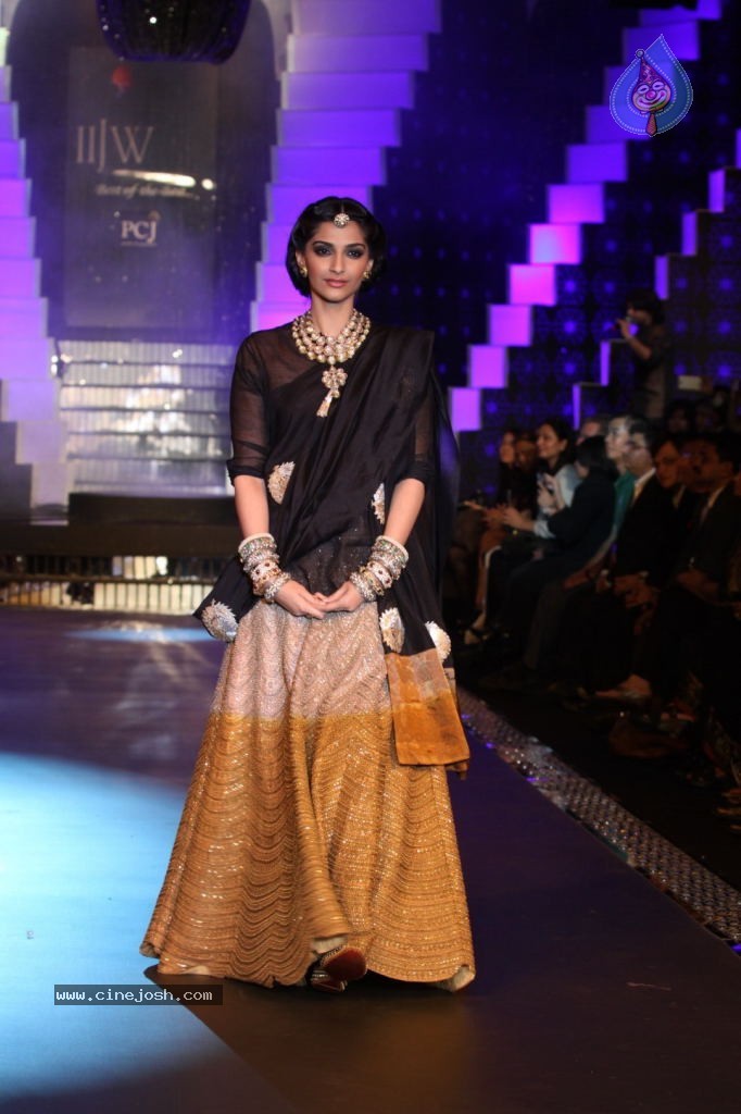 Sonam n Madhuri Dixit at IIJW 2012 - 3 / 48 photos