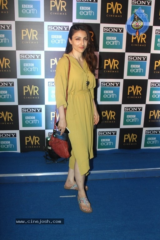 Sony BBC Earth film Blue Planet 2 Special Screening - 24 / 42 photos