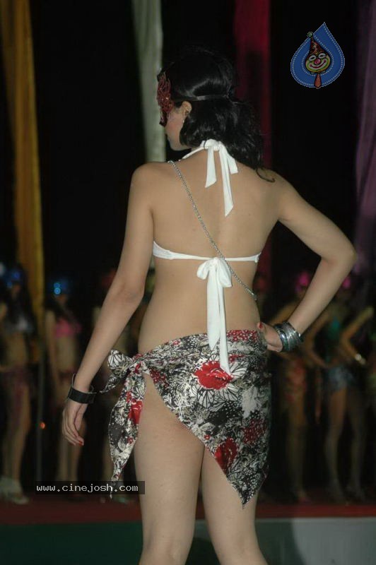 Spicy Models at Indian Princess 2011 Bash - 3 / 113 photos