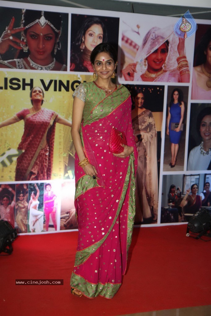 Sridevi Padmashri Award Special Party - 2 / 140 photos
