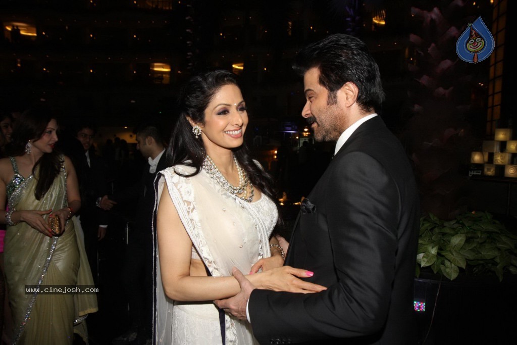 Sridevi Padmashri Award Special Party - 6 / 140 photos