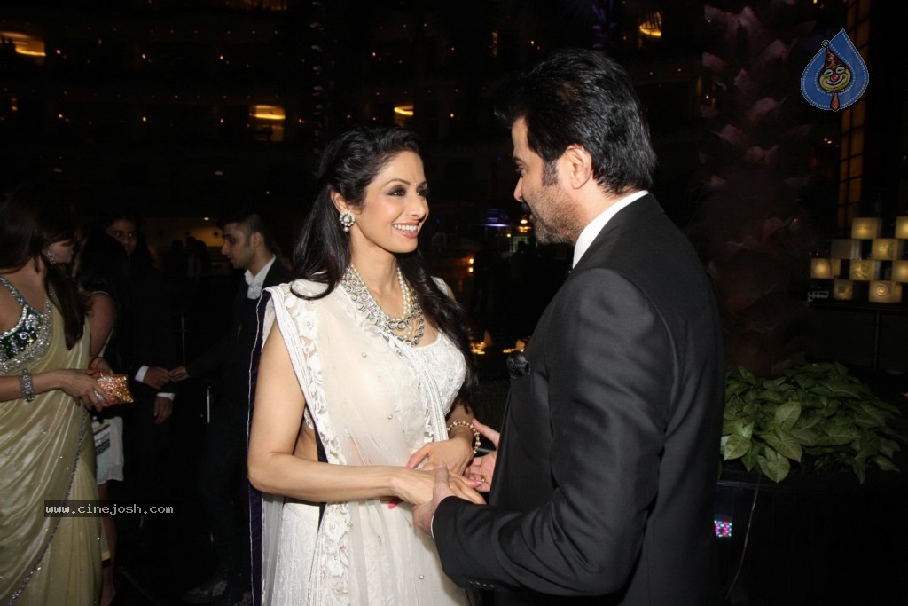 Sridevi Padmashri Award Special Party - 13 / 140 photos