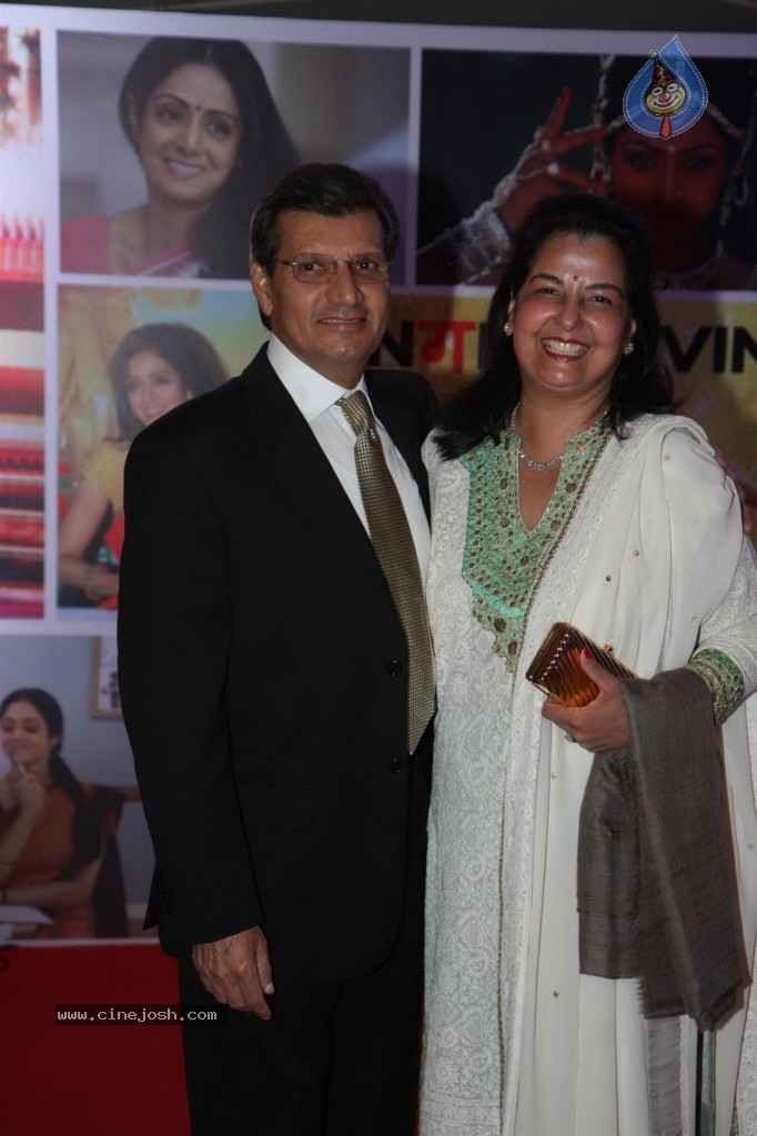 Sridevi Padmashri Award Special Party - 17 / 140 photos