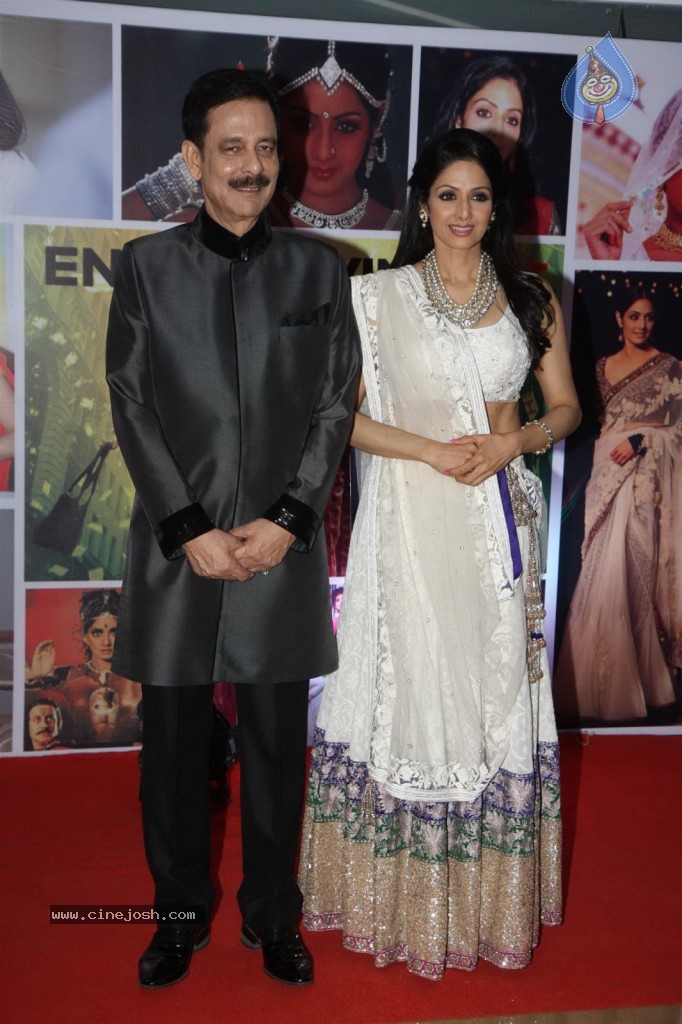 Sridevi Padmashri Award Special Party - 30 / 140 photos