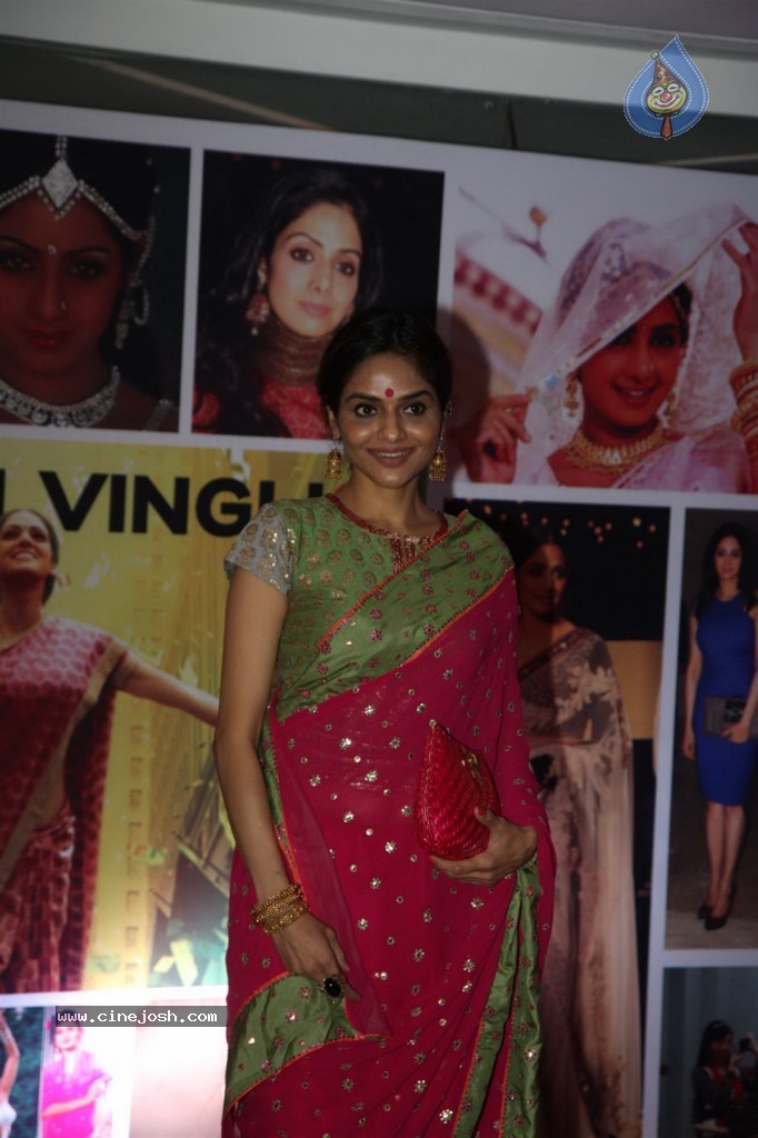 Sridevi Padmashri Award Special Party - 35 / 140 photos