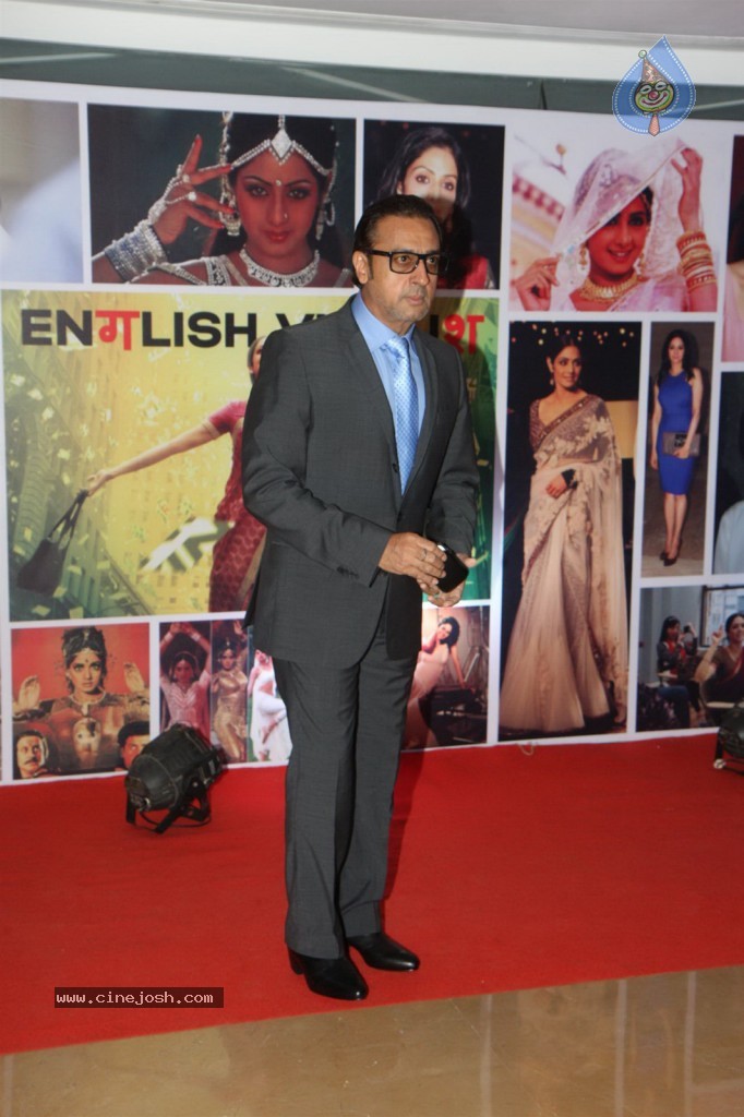 Sridevi Padmashri Award Special Party - 37 / 140 photos