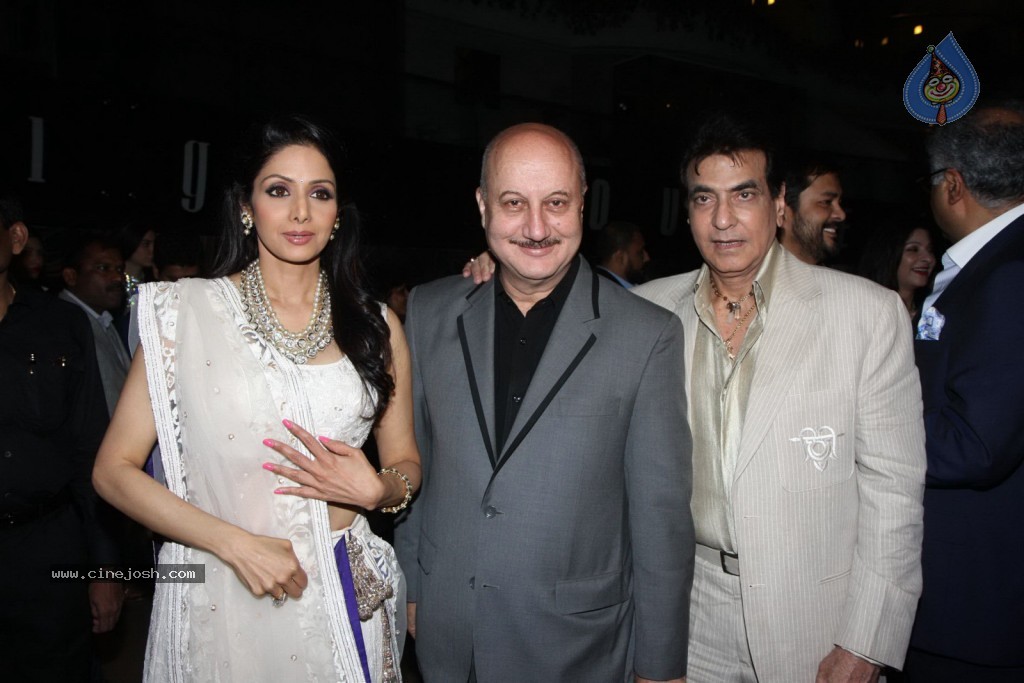 Sridevi Padmashri Award Special Party - 107 / 140 photos