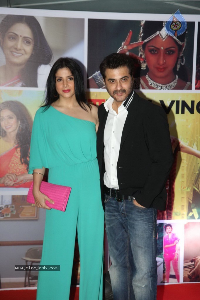 Sridevi Padmashri Award Special Party - 111 / 140 photos