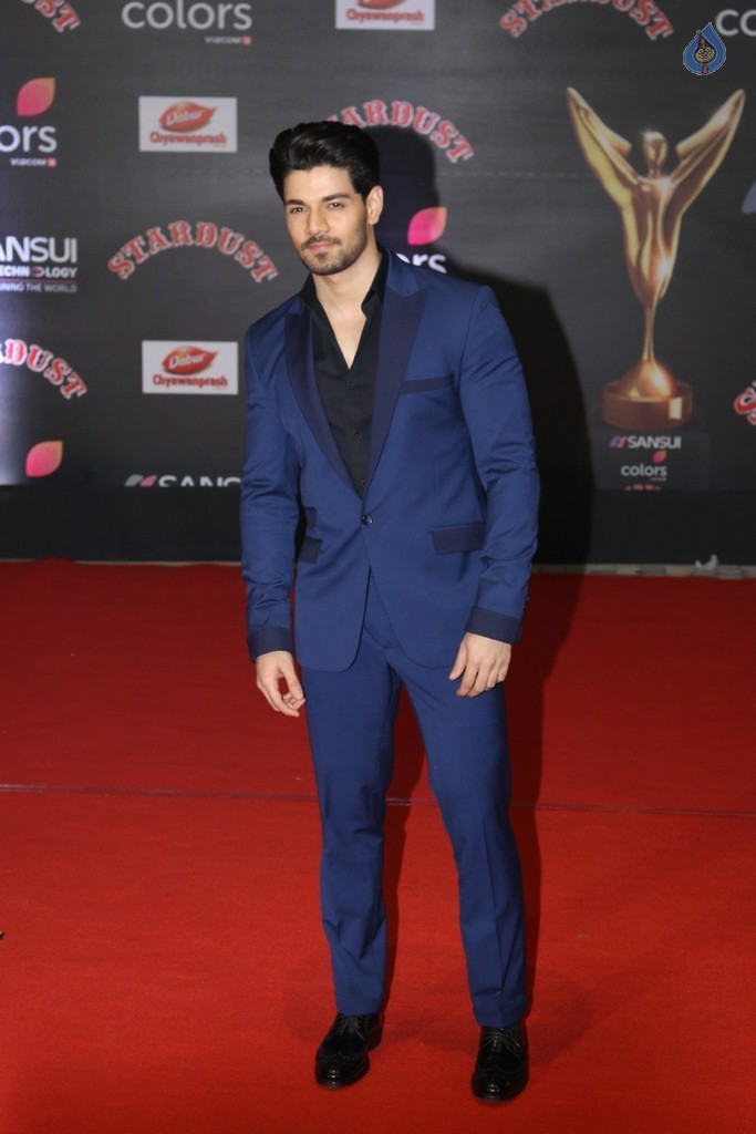 Stardust Awards 2016 Red Carpet 1 - 45 / 62 photos