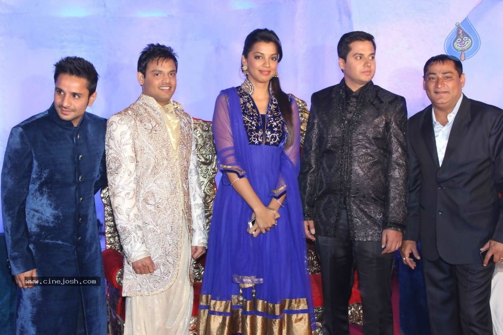 Suhail and Sandhya Wedding Reception - 1 / 53 photos