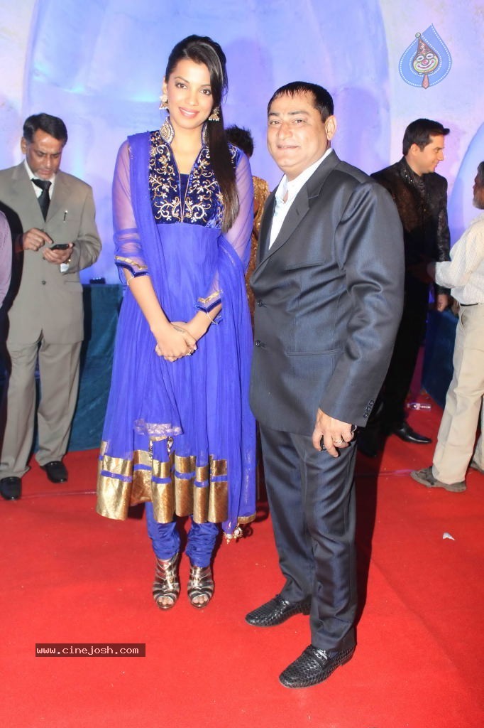 Suhail and Sandhya Wedding Reception - 17 / 53 photos