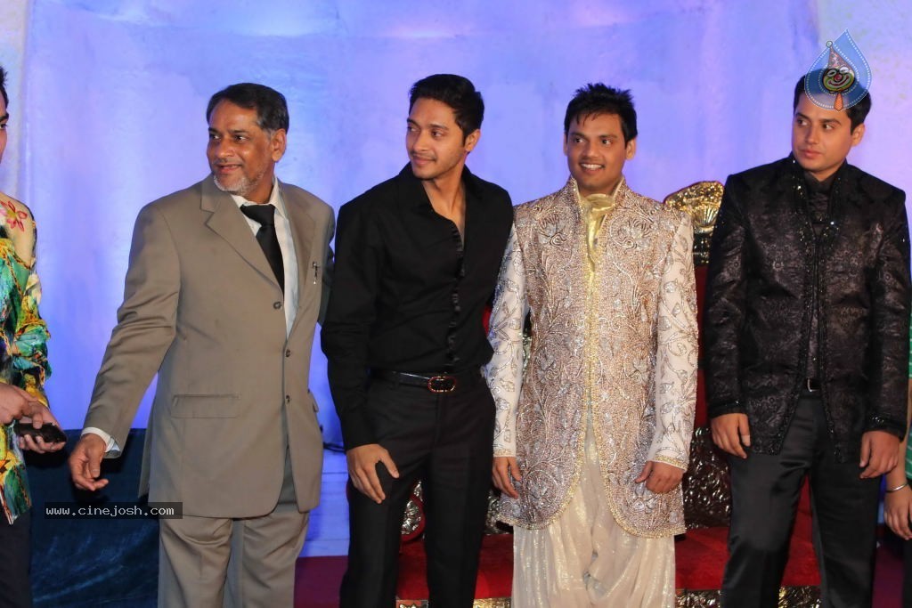 Suhail and Sandhya Wedding Reception - 29 / 53 photos