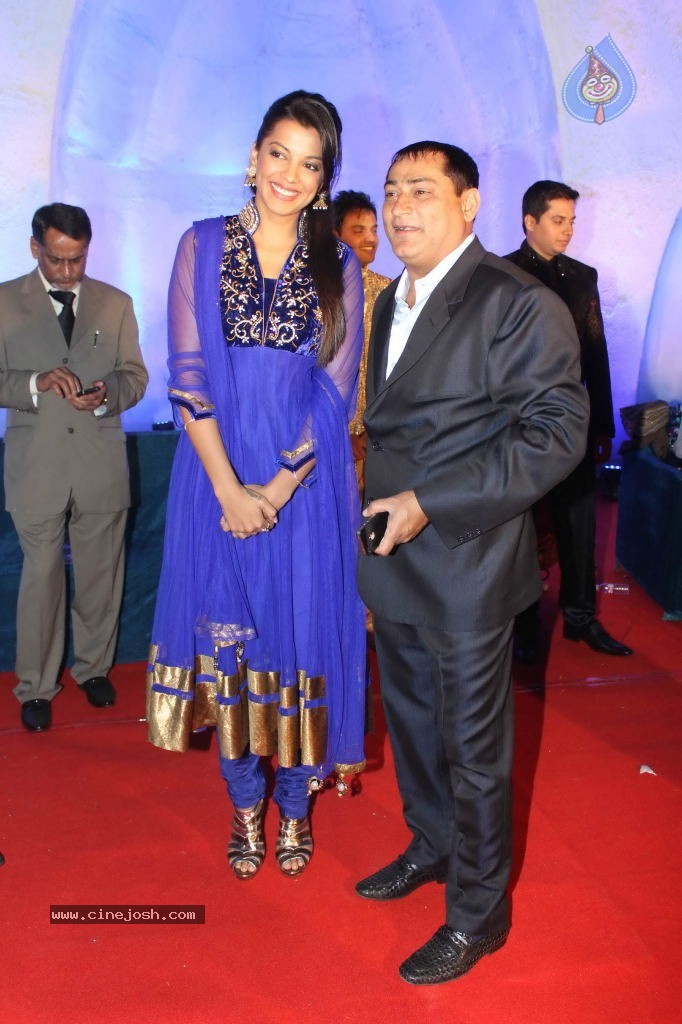 Suhail and Sandhya Wedding Reception - 37 / 53 photos
