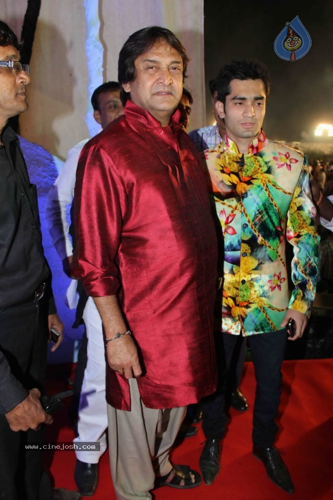 Suhail and Sandhya Wedding Reception - 38 / 53 photos