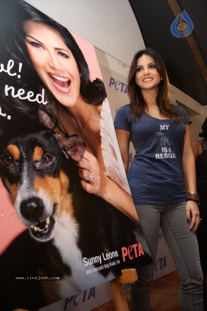 Sunny Leone Porn Dog Animal - Sunny Leone Unveils PETA ad Campaign - Photo 16 of 59