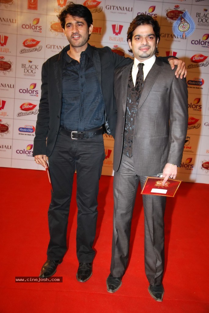 The Global Indian Film and TV Awards - 47 / 169 photos