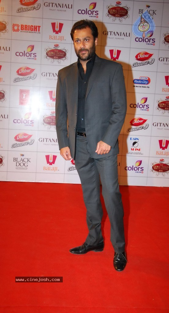 The Global Indian Film and TV Awards - 106 / 169 photos