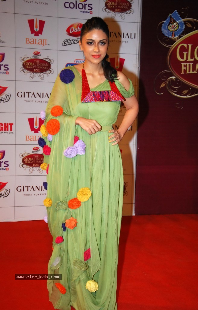 The Global Indian Film and TV Awards - 110 / 169 photos