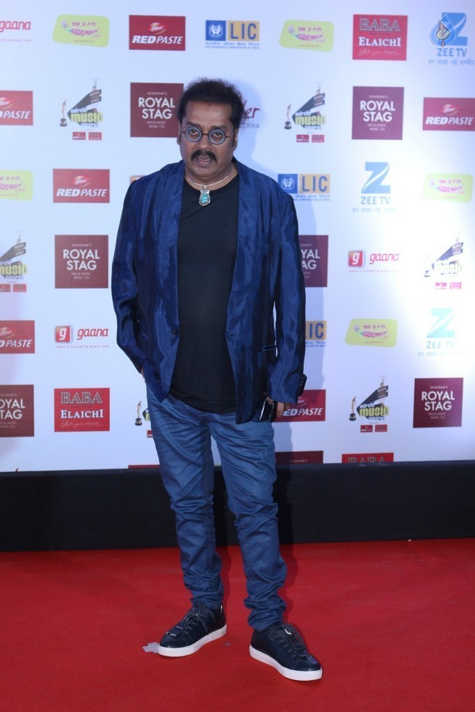 The Red Carpet of 9th Mirchi Music Awards - 35 / 105 photos