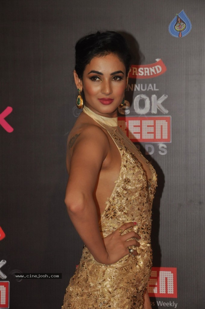 Top Bolly Celebs at 20th Annual Life OK Screen Awards - 135 / 136 photos