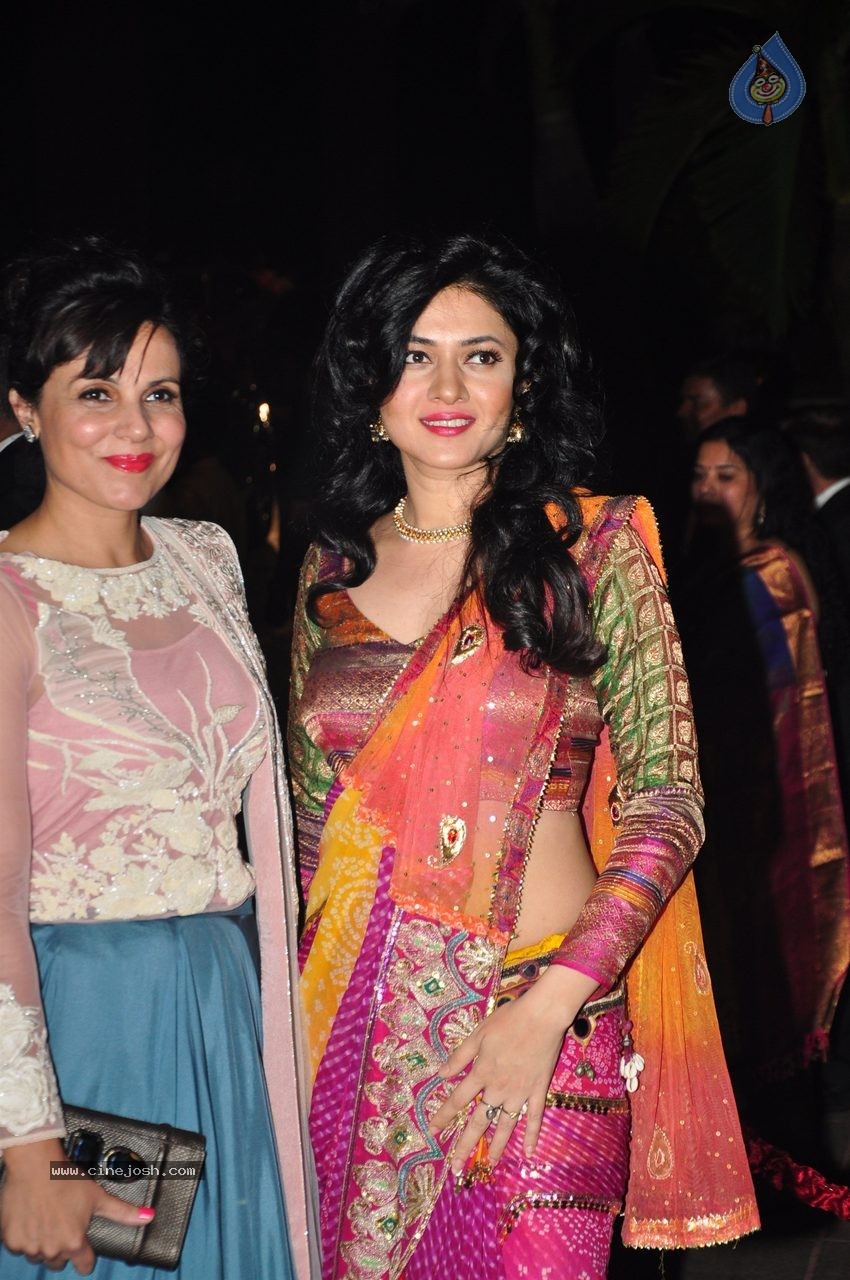 Top Celebs at Arpita Khan Wedding Reception 03 - 188 / 268 photos