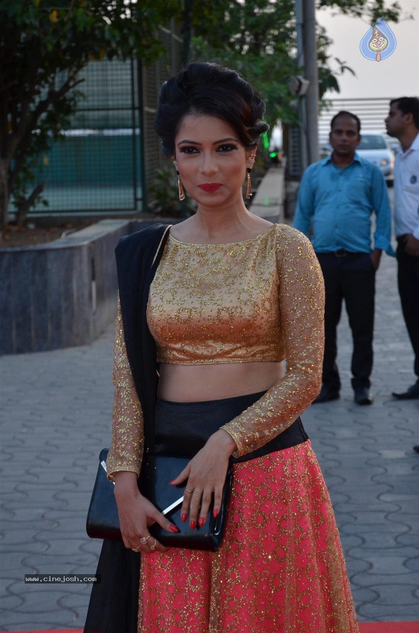 Top TV Celebs at the Star Parivaar Awards 2015 - 12 / 64 photos