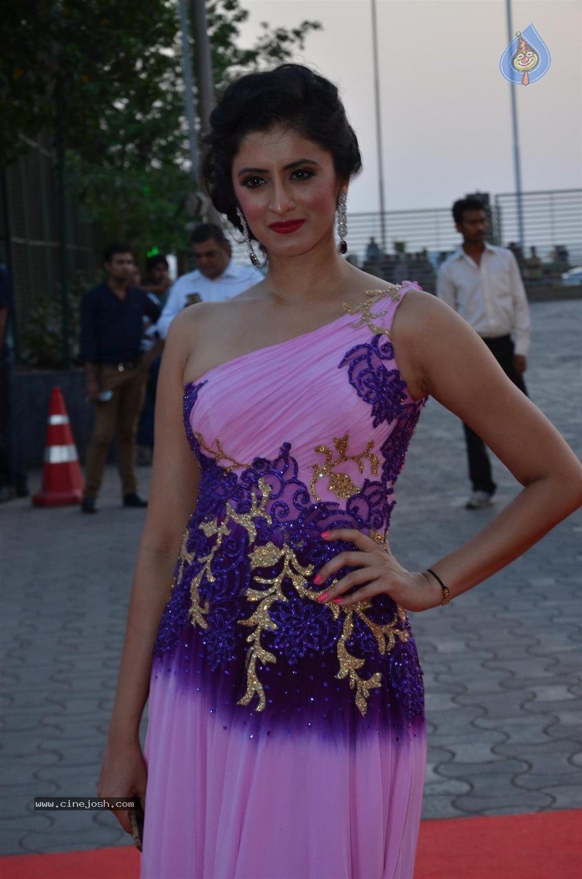 Top TV Celebs at the Star Parivaar Awards 2015 - 61 / 64 photos