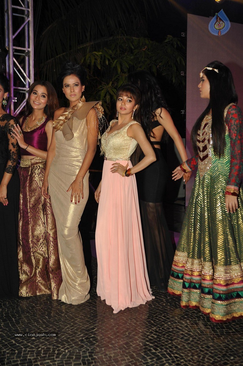 TV Celebs Walk The Ramp at Telly Calendar 2015 Launch - 12 / 98 photos