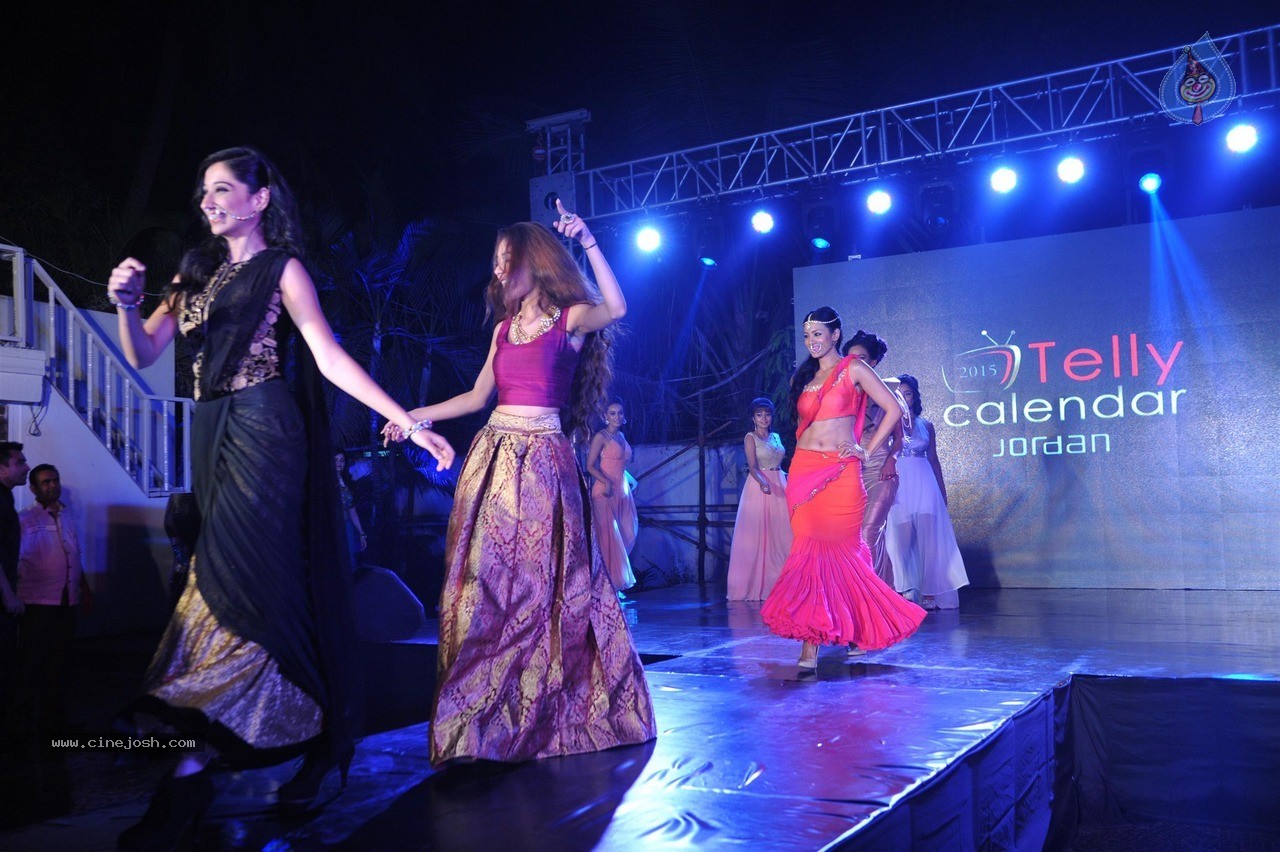 TV Celebs Walk The Ramp at Telly Calendar 2015 Launch - 29 / 98 photos