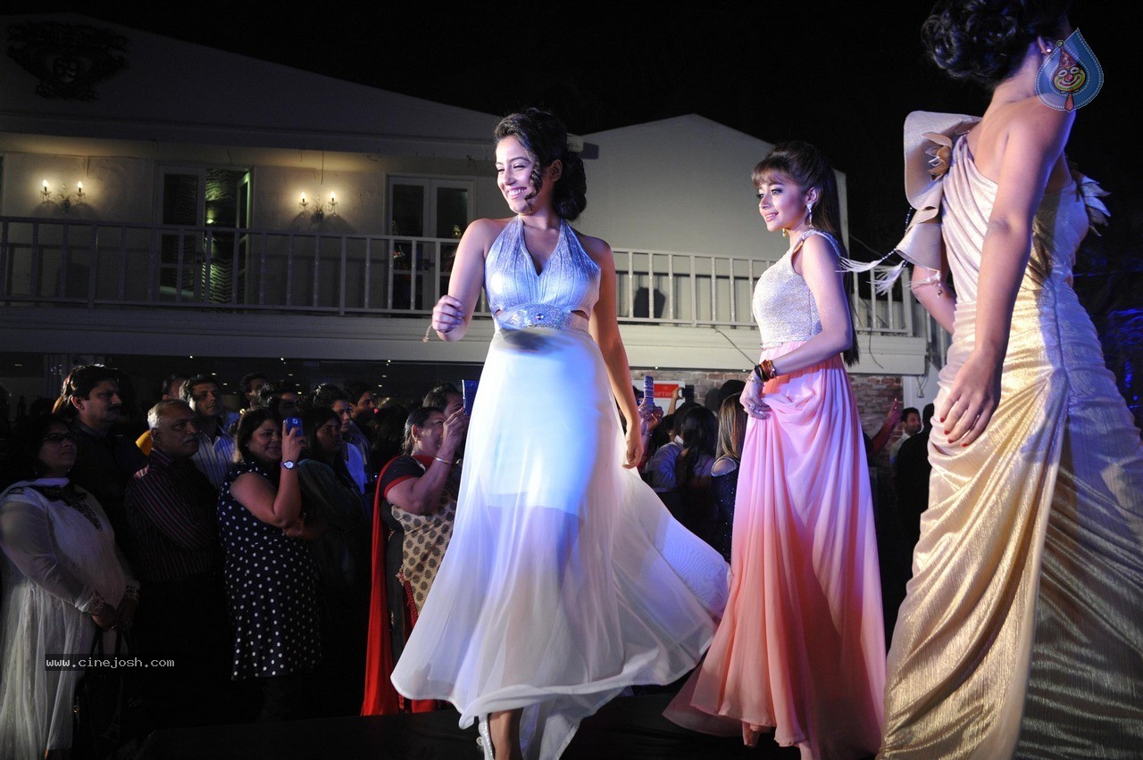 TV Celebs Walk The Ramp at Telly Calendar 2015 Launch - 88 / 98 photos